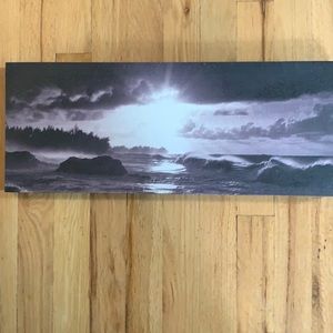 Black and white canvas picture